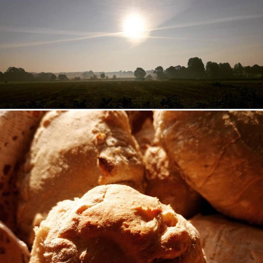 Arroeds Bostaelle Bed & Breakfast Tollarp Bagian luar foto